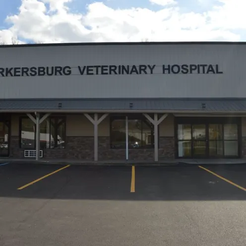 Outside Parkersburg Veterinary Hospital